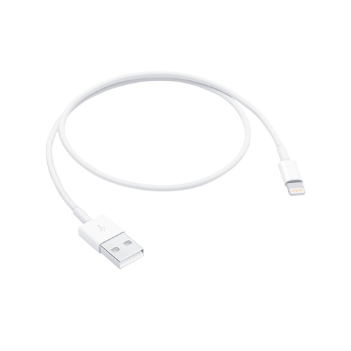 [r258] CAVO APPLE LIGHTNING - TYPE C 100cm BULK